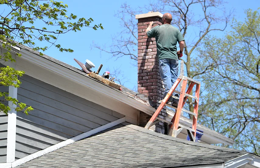 Chimney & Fireplace Inspections Services in Hauppauge, NY